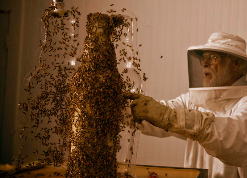 Illustration for article titled Concrete-Printing Bees And Other Living 3D Printers